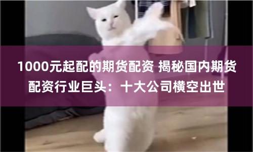1000元起配的期货配资 揭秘国内期货配资行业巨头：十大公司横空出世