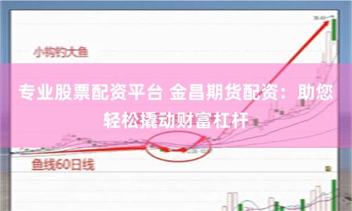 专业股票配资平台 金昌期货配资：助您轻松撬动财富杠杆