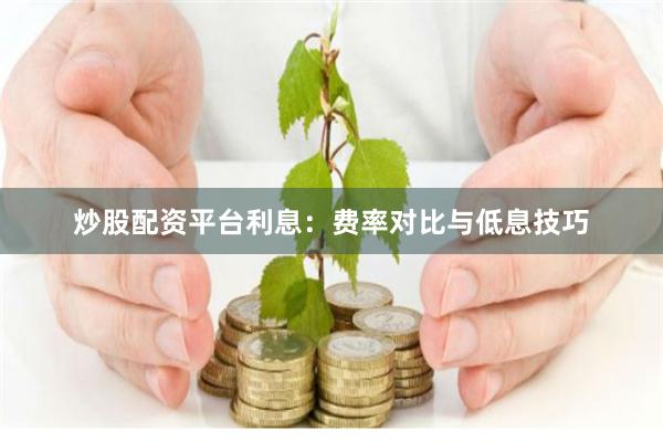 炒股配资平台利息：费率对比与低息技巧