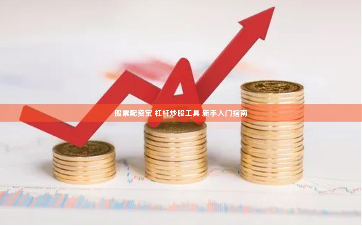 股票配资宝 杠杆炒股工具 新手入门指南