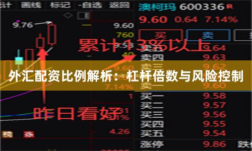 外汇配资比例解析：杠杆倍数与风险控制