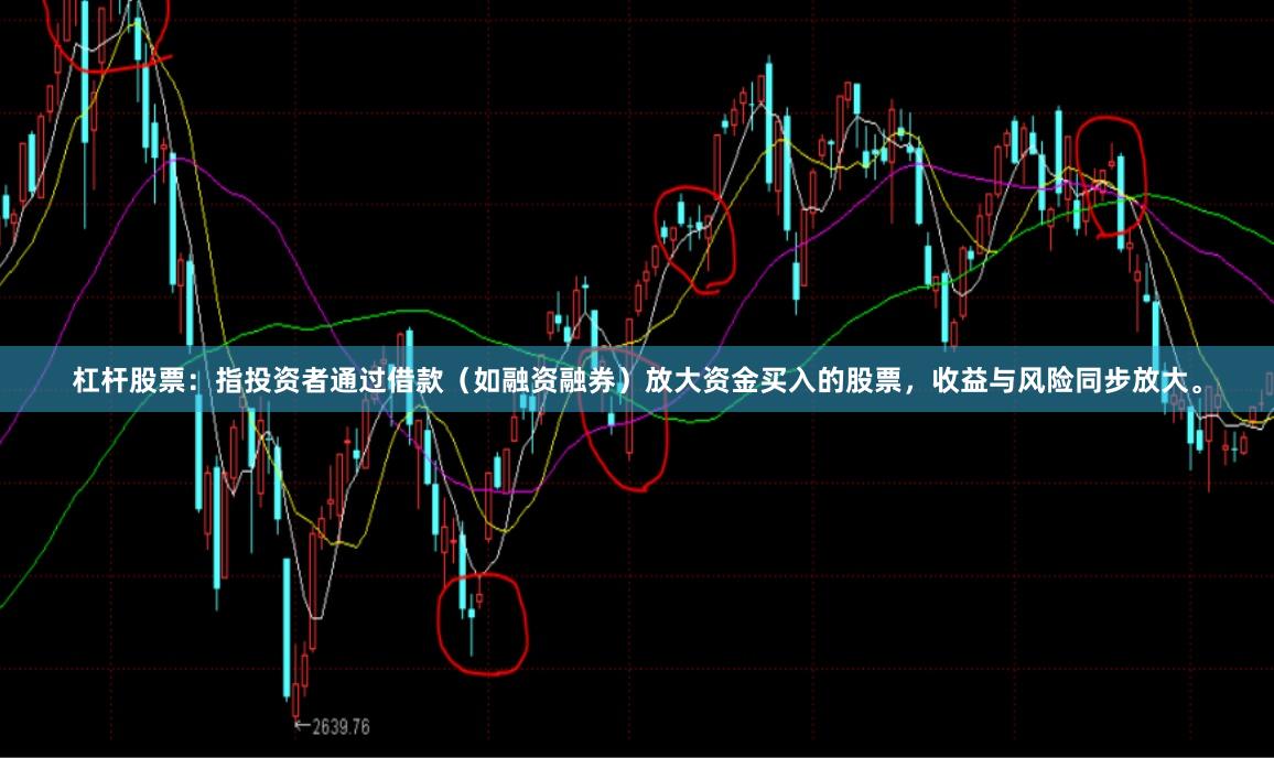 杠杆股票：指投资者通过借款（如融资融券）放大资金买入的股票，收益与风险同步放大。